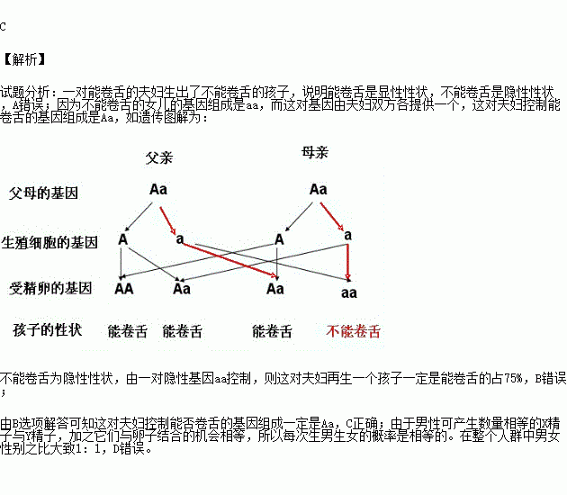 他们生的第一个孩子是不能卷舌的.下列推断正确