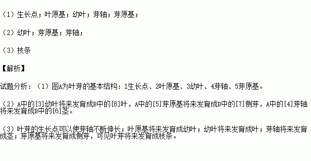 根据图a叶芽纵切面和b枝条结构示意图回答下列问题