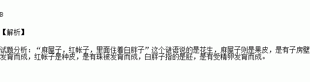 人们常用麻屋子红帐子里面住个白胖子的谜语猜花生在植物的个体发育中