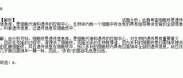 核变的原理_离子液体热分解机理的原位变温多核核磁共振研究(3)