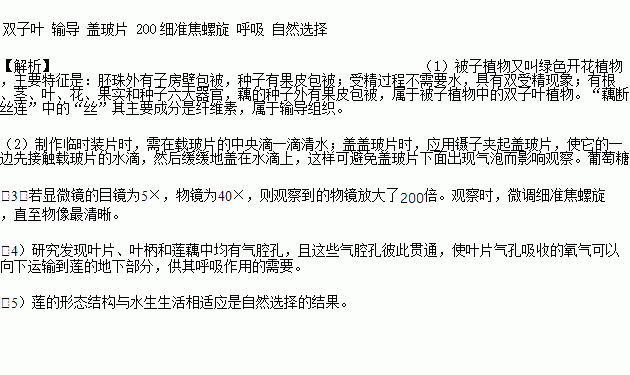 显微镜猜一成语_显微镜的结构图(3)