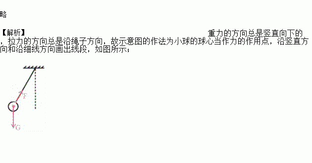 请画出小球所受重力和拉力的示意图.