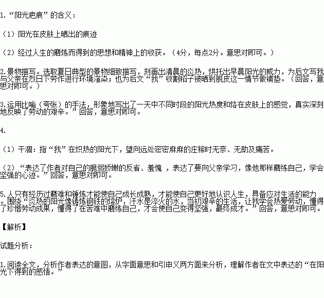 第七次人口普查时间间点_第七次人口普查图片(3)