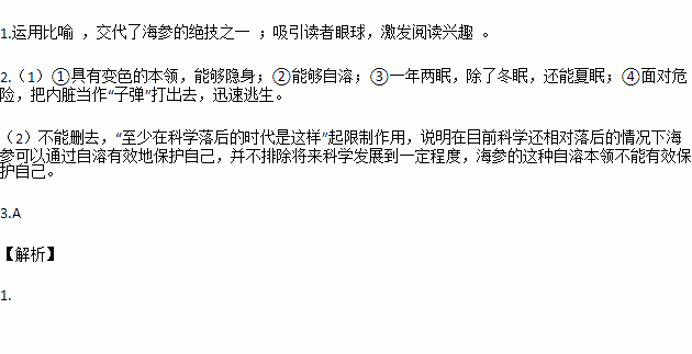 说明文开头的作用