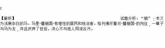 着对慧骃国的向往一辈子与马为友并且厌弃了世俗决心不与他人同流合污