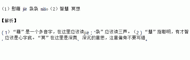 慰藉 袅袅(1)给下列词语中加点的字注音.