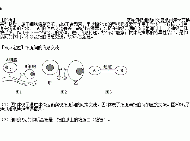 下列过程不涉及细胞间信息交流的是