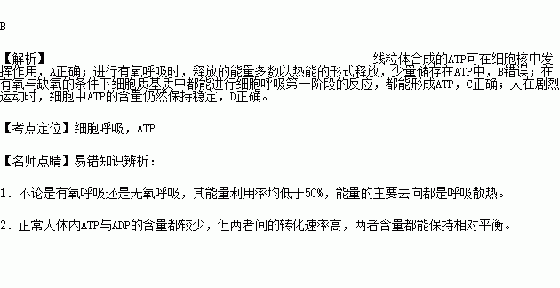 gdp不属于高能化合物吗_高能手办团图片