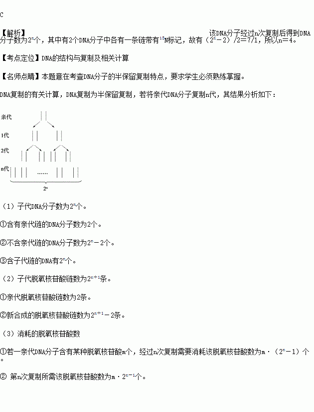 已知一条完全标记15n的dna分子在只含14n的培养基中经