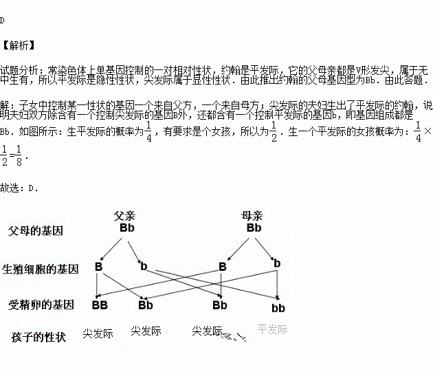 人口d卡概率_人口普查(3)