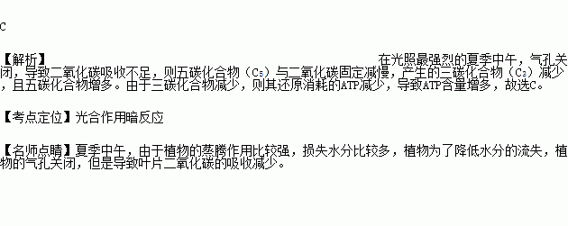 在光照最强烈的夏季中午叶肉细胞叶绿体体内的c3c5和atp的含量变化