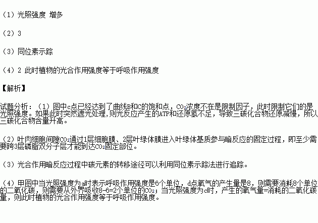 人口研究的意义_2014年城市规划师 城市规划原理 城市人口调查研究的意义