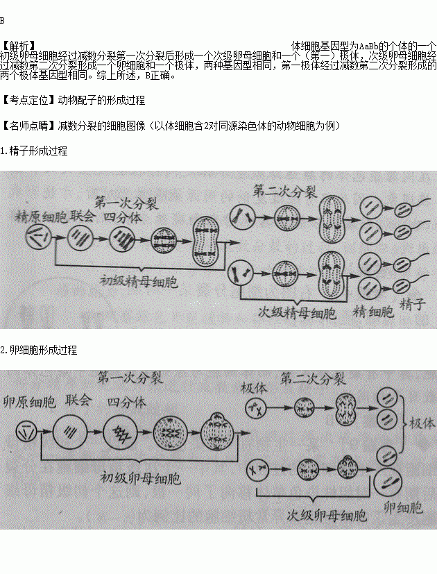 基因型为aabb(两对等位基因分别位于两对同源染色体).