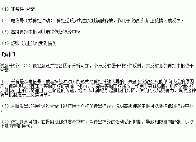 牵张反射是指骨骼肌在受到外力牵拉时引起受牵拉的同一肌肉收缩的反射