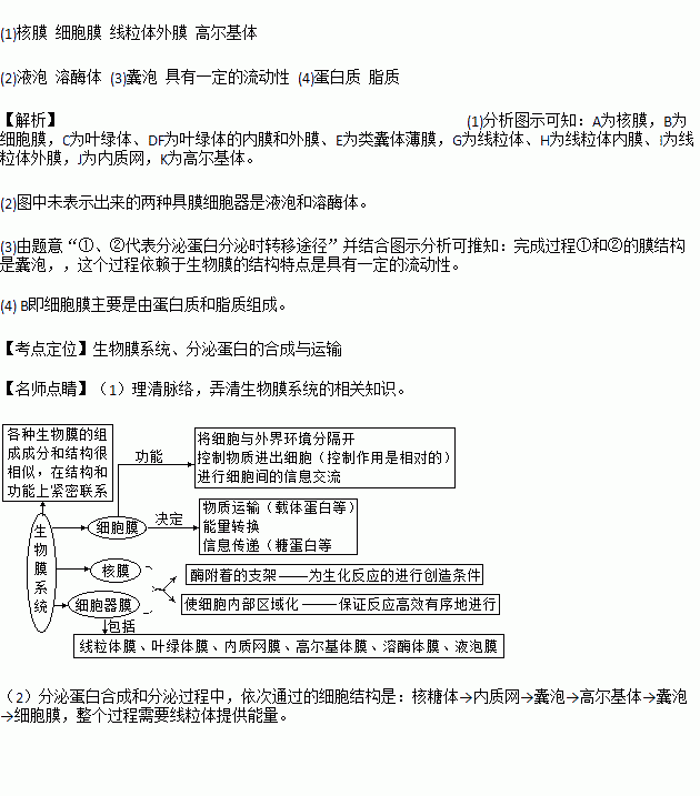 图为细胞中生物膜系统的概念图a91k为结构名称①②代表分泌蛋白分泌