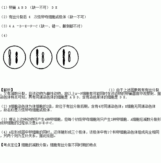 如图中a是某二倍体高等雌性动物体细胞染色体示意图bf是a的各分裂期图