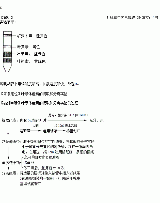 在叶绿体色素的提取和分离实验中,扩散速度最快的色素是