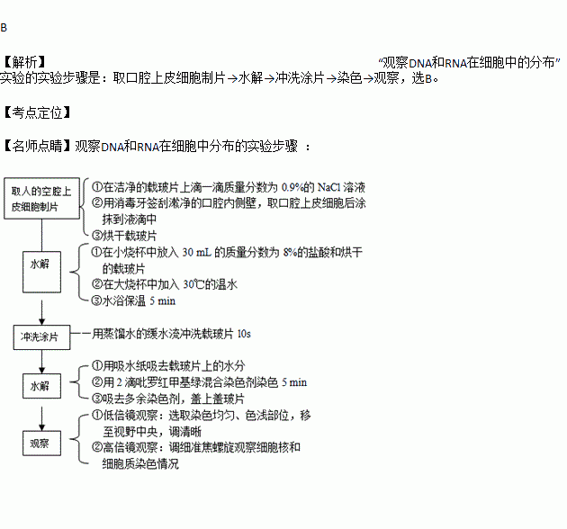 "观察dna和rna在细胞中的分布 实验中.正确的实验步骤是a.