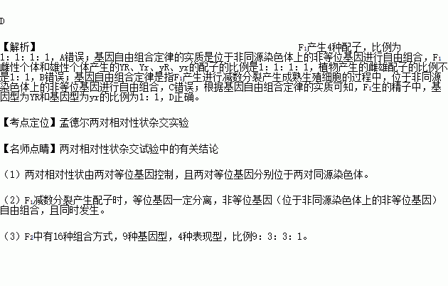 在孟德尔两对相对性状杂交实验中.f1黄色圆粒豌豆自交产生f2.