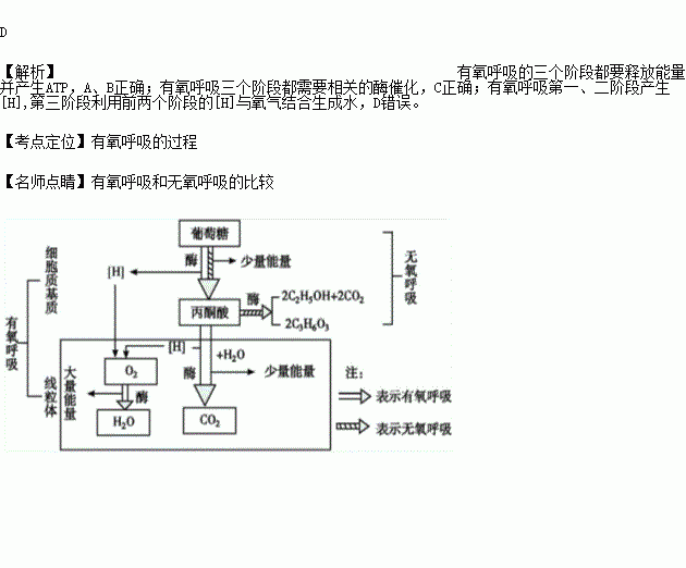 关于有氧呼吸的叙述不正确的是