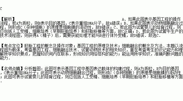 质粒转染的原理和步骤_细胞转染的原理 操作步骤以及小技巧 第二讲(3)