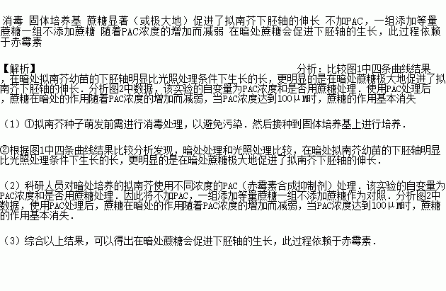不理.在胚轴暗处v胚轴拟南芥下蔗糖的聊天.而女生我发现的突然生长图片