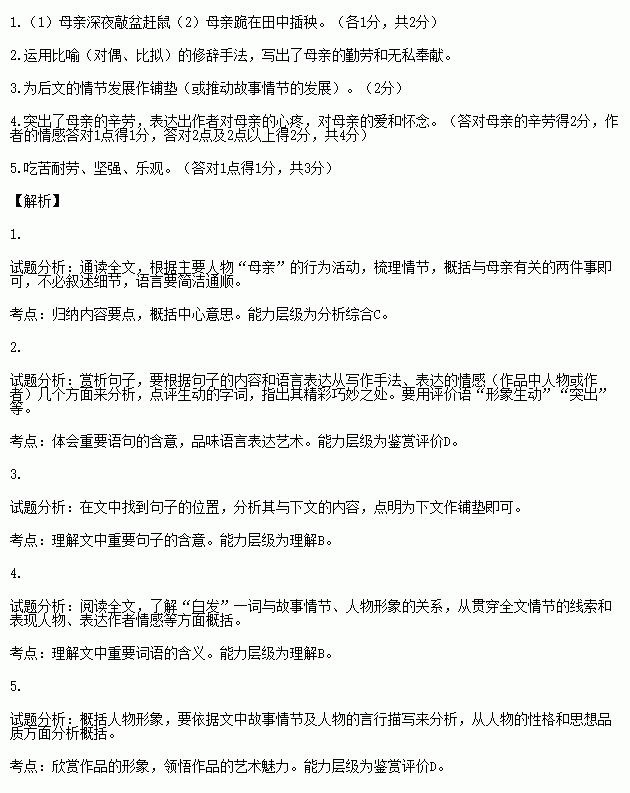 田野上的白发