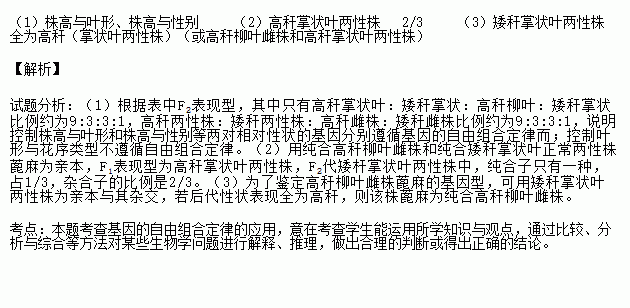 姓叶的人口数量_...,叶公姓什么?姓叶吗?-先天智慧 这个女人 一哭成名 ,还有很