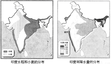读"印度水稻和小麦的分布"及"印度年降水量的分布"图,完成下列各题.