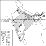 读"印度农作物分布图",完成下面小题.