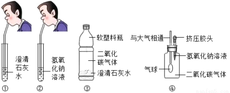 们在吹气后观察到①中澄清石灰水边浑浊②中氢氧化钠溶液无明显现象