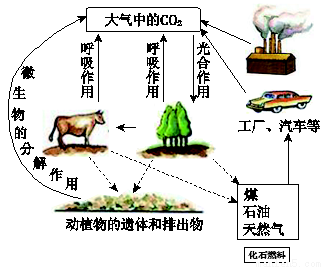 下图所示为自然界中碳循环的示意.