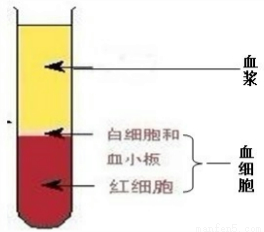 从家畜体内取10ml血液,放入盛有少量抗凝剂的试管里,静置一段时间后