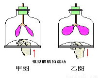 在以下什么样的环境中工作的人,呼吸系统疾病发病率低( )