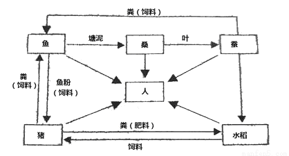 人口成分_人口老龄化