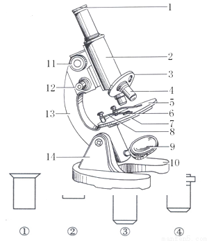 显微镜是生物实验中常用的观察用具,请据图回答(每空1分,共8分)