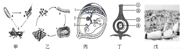 将装有萌发种子的密闭玻璃瓶在温暖黑暗的地方放置一