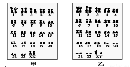 如图是男女体细胞内23对染色体排序图.请回答