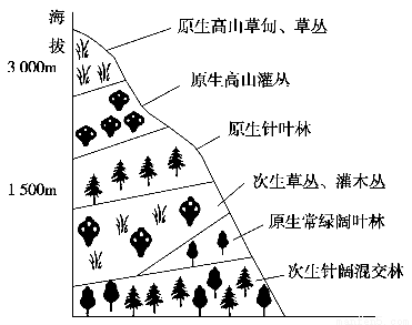 高中地理 题目详情  下图为某山脉山坡的垂直植被分布图,读图完成小题