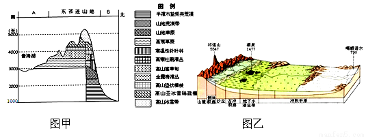 读东祁连山植被垂直带谱分布图(图甲)和祁连山—噶顺诺尔自然景观剖面