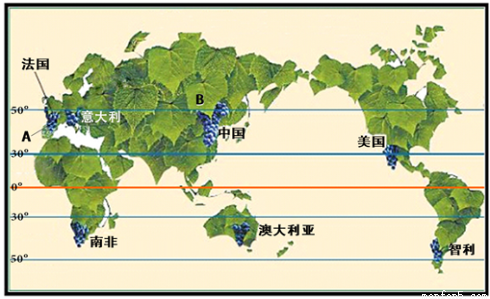 材料三:2012年世界前四位及中国葡萄酒产量.