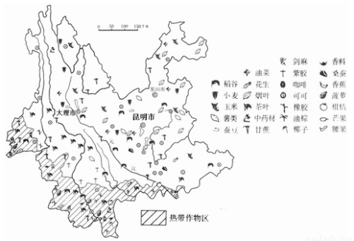 云南省素有"植物王国 的美誉.云集了从热带.