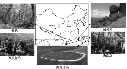 (12分) 材料一:中国五大热带雨林分布图