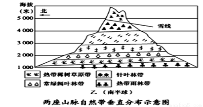 食物金字塔的结构图_人口金字塔结构图