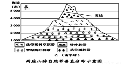 城市人口年龄结构_城市人口结构(2)