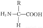 化合物只有一个氨基和一个羧基,该多肽含有5个氨基酸,脱去4个水形成五