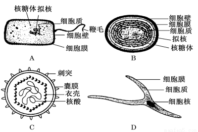 SYS201601130602455889418198_ST.001.png