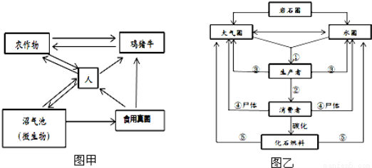 甲图是农业生态系统模式图,乙图为碳循环示意图,以下说法不正确的