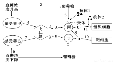 人口增殖_...0年以来的世界人口增殖率(红色部分)-能源与环境问题评议(2)