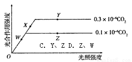 下列有关生物学实验的叙述.正确的是( )A.叶绿